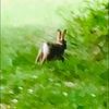 ohmybunny